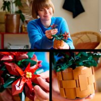 LEGO® Icons: 10370 - Karácsonyi cserepes Mikulásvirág