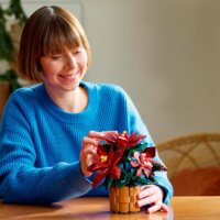 LEGO® Icons: 10370 - Karácsonyi cserepes Mikulásvirág