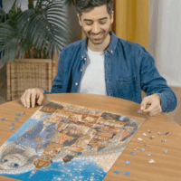 Ravensburger Disney Kastélyok - Aranyhaj 1000 darabos puzzle