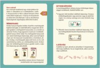Pagony Kiadó Vau logikai és stratégiai társasjáték