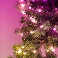Twinkly Beltéri 50 RGB LED Elővilágított Adventi Koszorú - Zöld