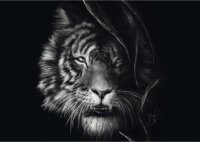 Schmidt Spiele Ashley Rader Tigris a szabadság jegyében 1000 darabos puzzle