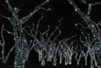 Dekortrend Kontakt LED Spark Kültéri Beltéri fényfüzér 10m - Hidegfehér