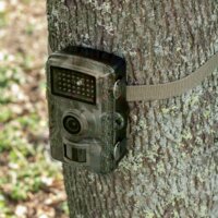 Home WILDCAM1 FullHD 1,3MP Vadkamera - Terepszínű