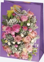 Iris Ajándék Papírtáska (35 x 48 x 13cm) - Különböző mintás