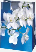 Iris Ajándék Papírtáska (29 x 40 x 12cm) - Különböző mintás