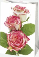 Iris Ajándék Papírtáska (29 x 40 x 12cm) - Különböző mintás