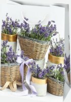 Iris Ajándék Papírtáska (29 x 40 x 12cm) - Különböző mintás