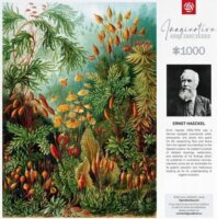 Good Loot Ernst Haeckel Muscinae Jó Zsákmány 1000 darabos puzzle