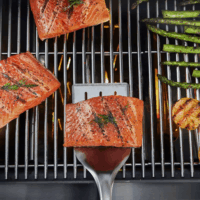 Weber 6761 Precision Grill Spatula