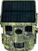 Braun Scouting Cam Black300 4K WiFi Vadkamera - Terepszínű