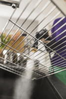 Kärcher DE, KST, SC, SG, VAP körkefe készlet