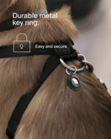 Belkin MSC013btBK Apple Airtag tartó - Fekete