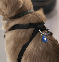 Belkin MSC013btBL Apple Airtag tartó - Kék