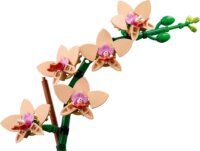 LEGO® Botanicals: 10343 - Mini orchidea