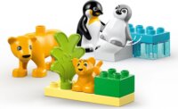 LEGO® Duplo: 10442 - Állatcsaládok a vadvilágban: Pingvinek és oroszlánok