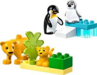 LEGO® Duplo: 10442 - Állatcsaládok a vadvilágban: Pingvinek és oroszlánok