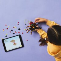 LEGO® Creator: 31159 - Vadállatok: Meglepetésekkel teli pók