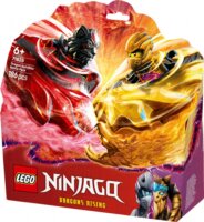LEGO® Ninjago: 71826 - Sárkány spinjitzu harci csomag