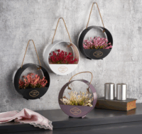 Iris E5587 kerek akasztós fali dekoráció művirággal 19x19cm - Többféle