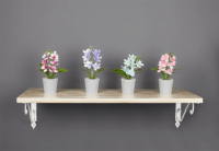 Iris E5679 Orchidea dekoráció művirággal cserépben 6x17cm - Többféle