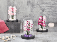 Iris E5636 ORCHIDEA dekoráció művirággal búrában 11x18cm - Többféle