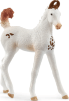 Schleich 14896 Horse Club Marwari csikó figura