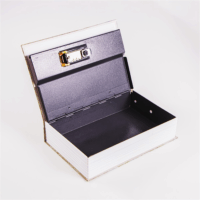 Iris IBSC24 Számzáras Könyv alakú Széf - Mintás