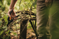 Fiskars SingleStep P26 Metszőolló