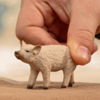 Schleich 14893 Farm World Mangalica malac figura