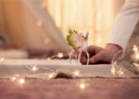 Schleich 70821 Bayala Mágikus őzgida figura