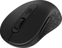 Everest 23662 SM-300 RF Wireless Egér - Fekete