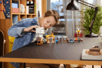 LEGO Minecraft 21273 - A szellemléghajó és falutámadás