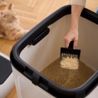 Rotho Biala XL Macska alomdoboz 61 x 50 x 58 cm - Fehér