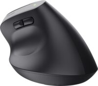 Trust 25146 Bayo+ Bluetooth + RF Wireless Egér - Fekete