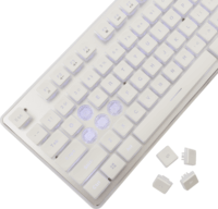 White Shark Tachi Vezetékes Gamer Billentyűzet US - Fehér