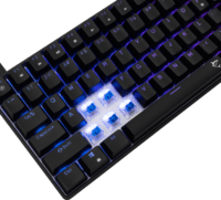 White Shark Hamachi-B TKL Mechanikus Blue Switches Vezetékes Billentyűzet Angol - Fekete (US)