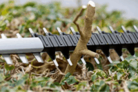 Bosch GHE 18V-50 Professional Solo 18V Akkumulátoros Sövényvágó (Akku és töltő nélkül)