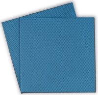 Thermal Grizzly Minus Pad Advance Hővezető lap (100 x 100 x 2,0 mm, 2db)