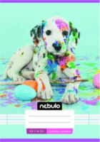 Nebulo Színes mintás 32 lapos A5 Vonalas füzet - Többféle