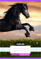 Nebulo Színes mintás 32 lapos A5 Vonalas füzet - Többféle