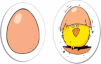 Djeco Csip-csip Piou Piou tojáskeltető Stratégiai kártyajáték 47db kártyával