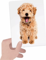 Headu Érintsd meg és párosíts! taktilis fejlesztő játék