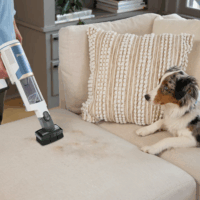 Shark BU3521EU Cordeless Pro Porzsák nélküli álló / kézi porszívó Auto Empty dokkolóval 21.6V - Fehér