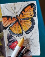 Zebra ClickArt Filctoll készlet - Vegyes színek (12 db / csomag)