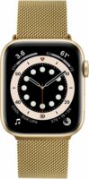 Fixed Mesh Apple Watch Apple Watch S4/S5/S6/S7/S8/S9/S10/SE Fém Szíj 42/44/45/46mm - Arany