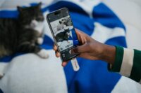 Verbatim Plectra USB-C 3.2 64GB Pendrive - Fehér