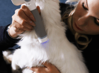 Astropet ACPB-001 Akkus Kisállat Szőrkefe UV lámpával