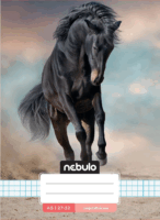 Nebulo 32 lapos A5 négyzetrácsos füzet - Többajta