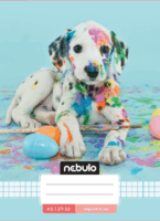 Nebulo 32 lapos A5 négyzetrácsos füzet - Többajta